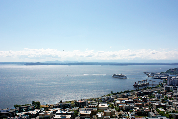 view from the top of the Space Needle